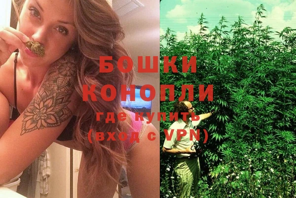 винт Пестово